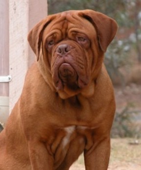 Ben at 9 months